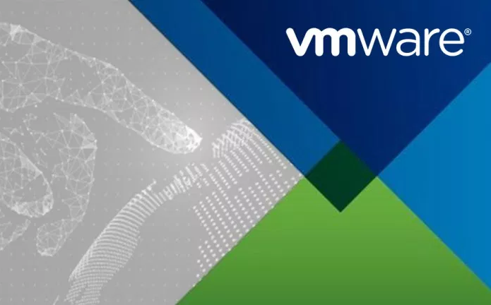 VMware Digi(R)evolution Partner Day